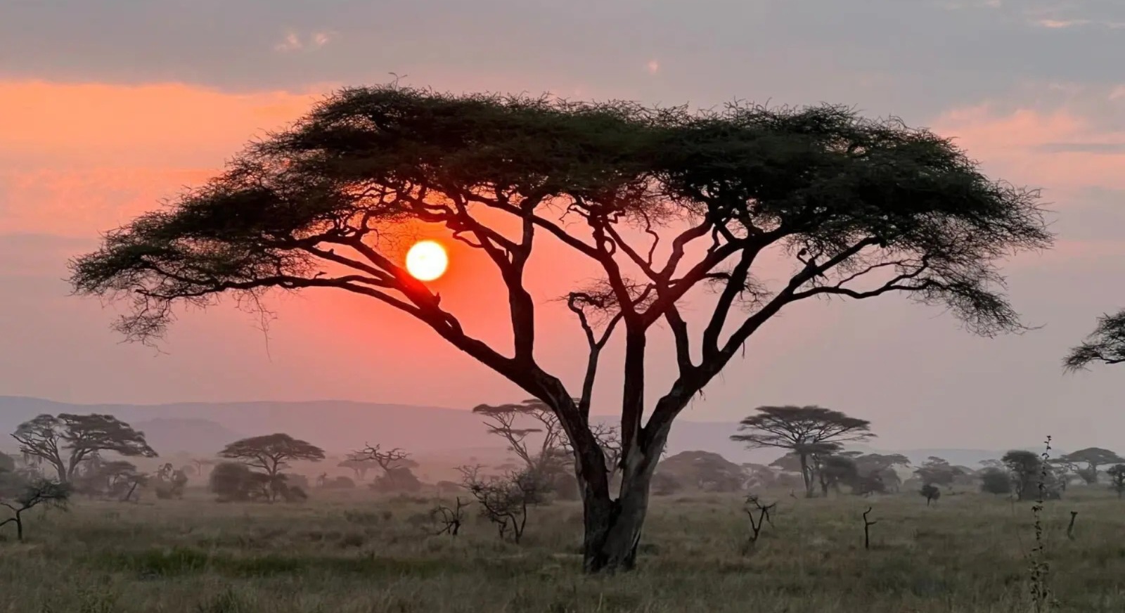 Golden Hour Sunset